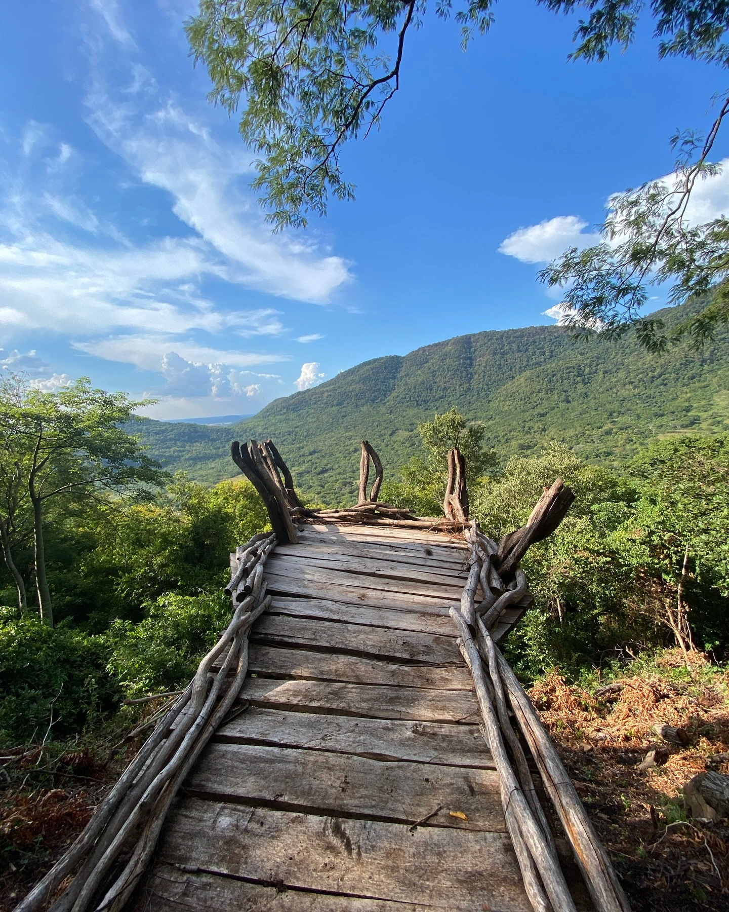 Vista panorámica