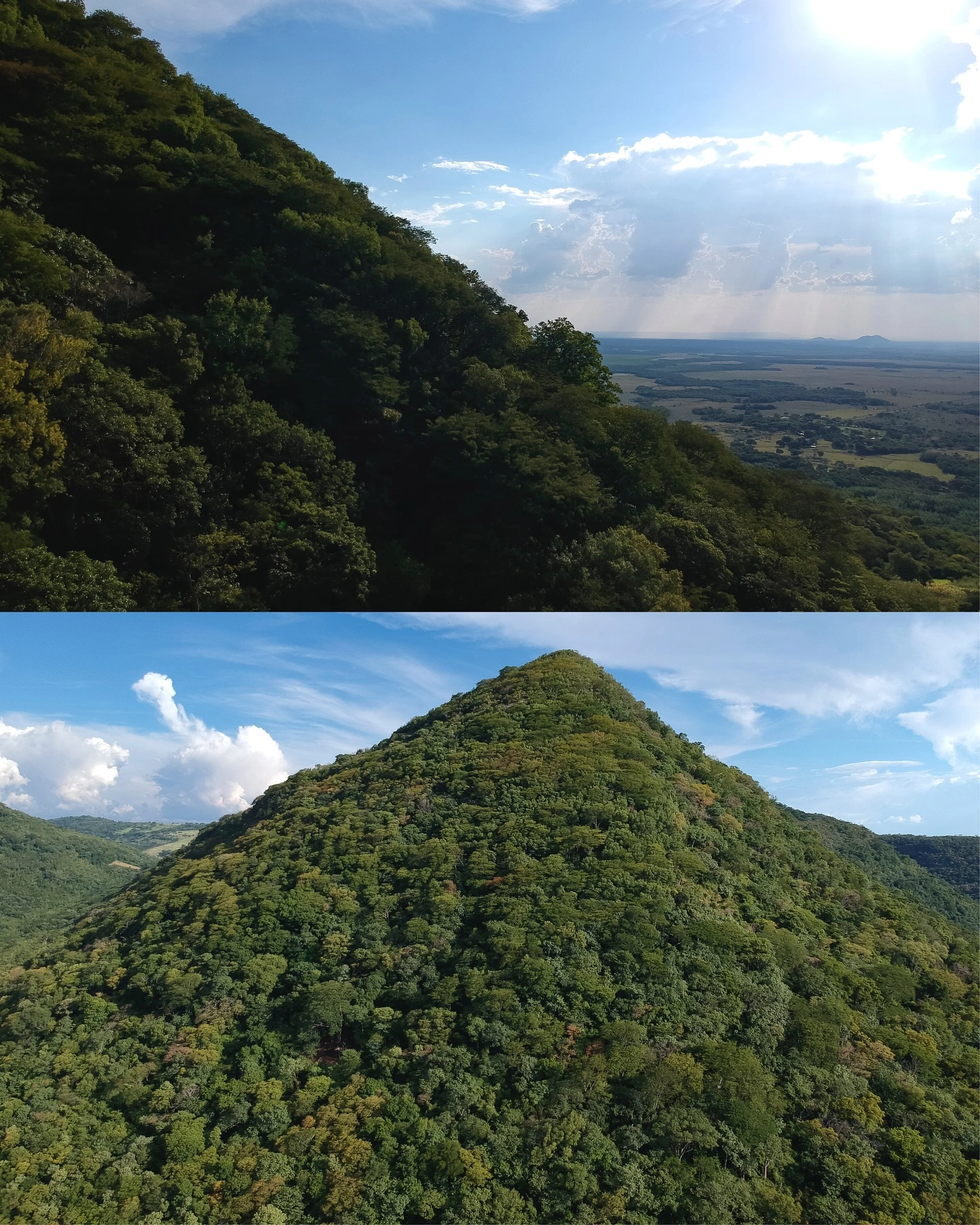 Naturaleza